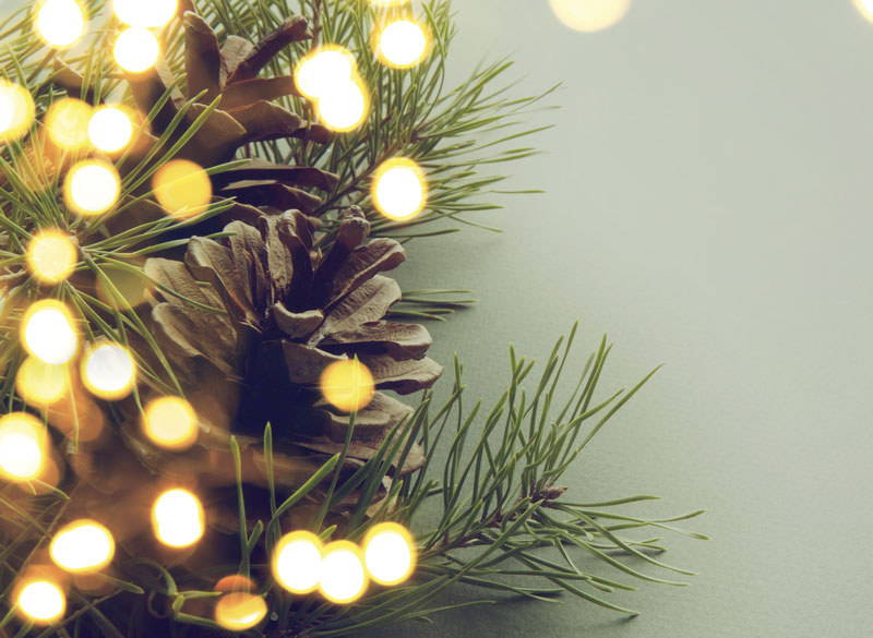 How to Thrive During the Holidays