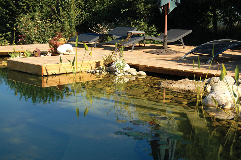 A Clean Swimming Pool without Chemicals is Possible