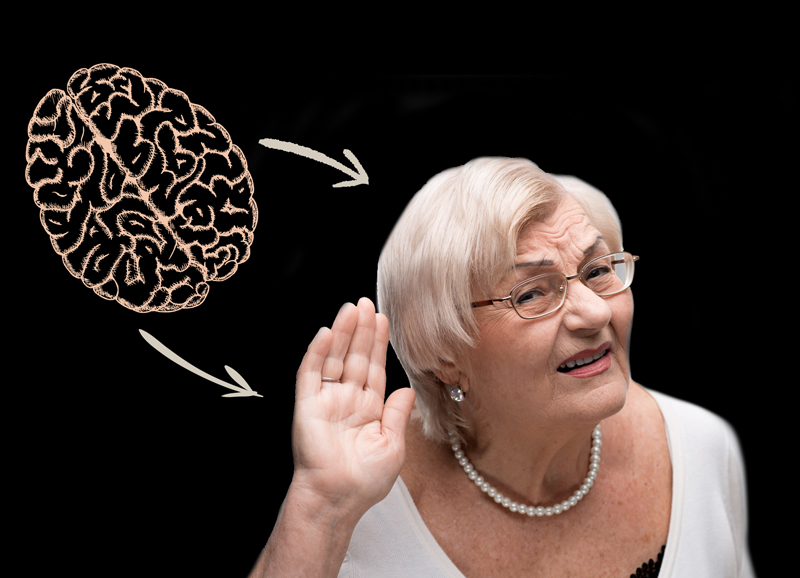 Hearing Health is Brain Health  How Hearing Aids Keep Your Brain Fit