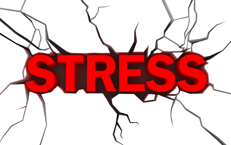 Stress: What’s the Cost