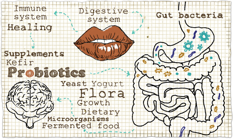 Lets Gut To The Point With Candida