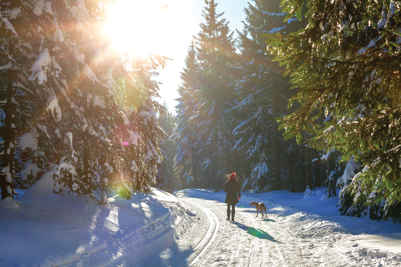 Ticks Do Not Die in the Winter