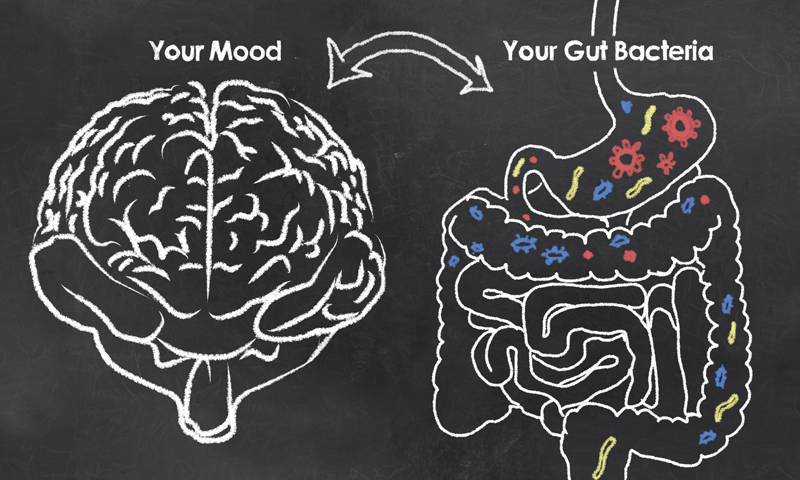 What Does Your Digestion Have To Do With Your Depression