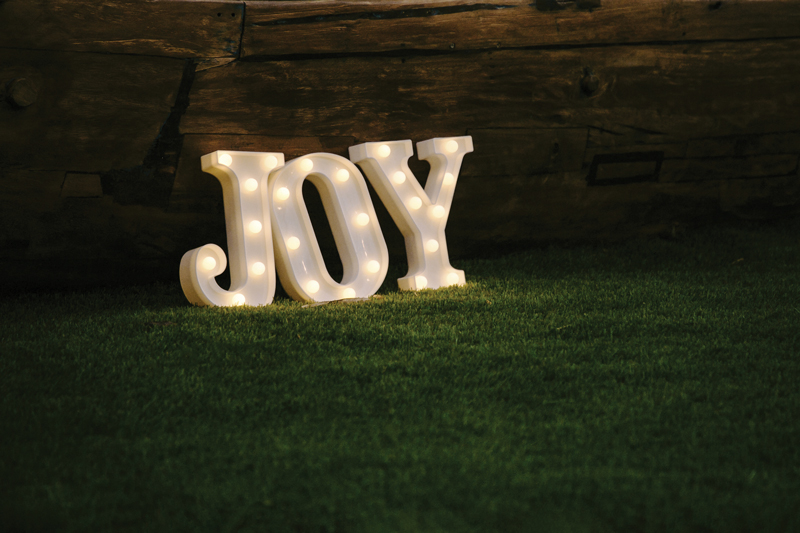 Joy is Essential